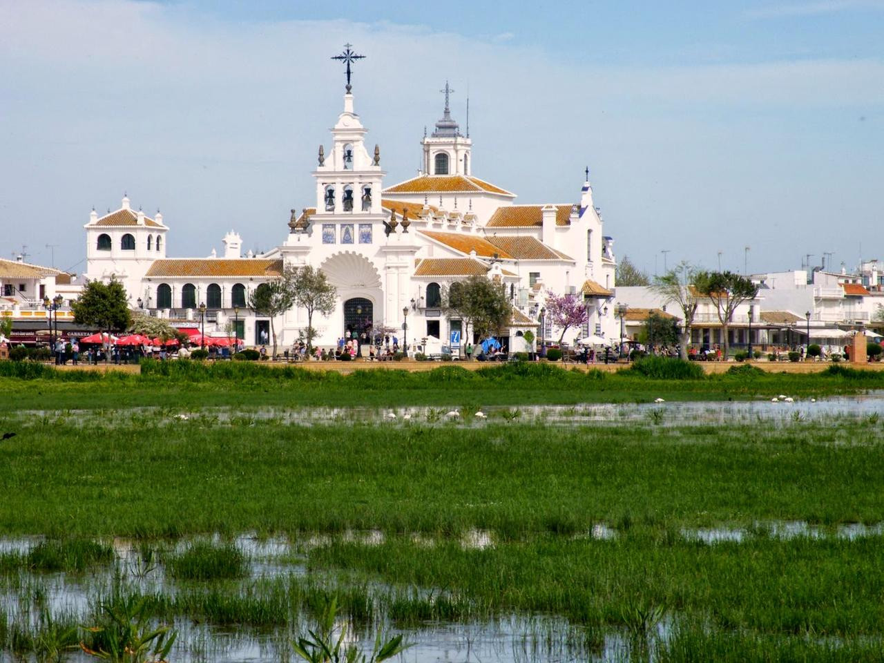 Doñana 06
