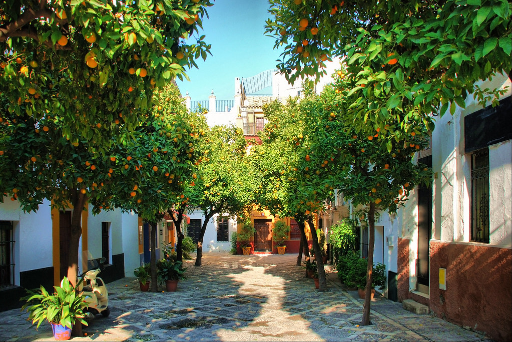 Plaza Santa Cruz